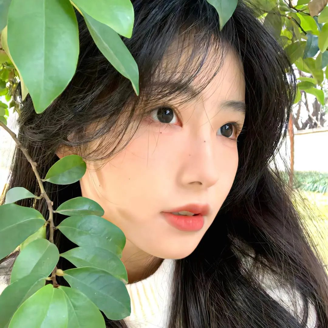 有种好男人粤语